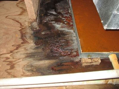About Coronado Water Damage Pros - water damage restoration experts in Coronado